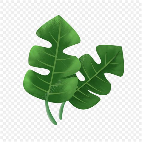 Green Leaf Material PNG Transparent Ps Hand Drawn Green Leaf