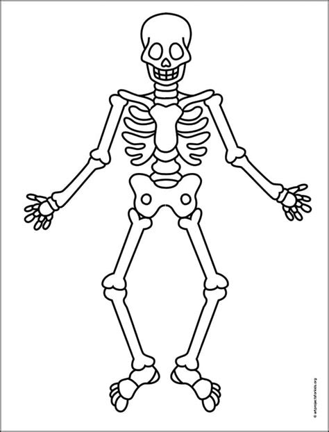 Free Axial Skeleton Coloring Pages