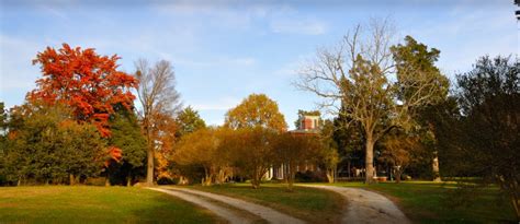 Chippokes Plantation State Park - 4 Photos - Surry, VA - RoverPass