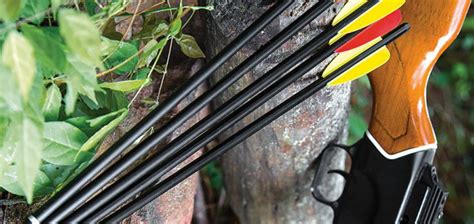 The 5 Best Crossbow Bolts for Deer Hunting Reviews In 2021 - Crossbow Spot