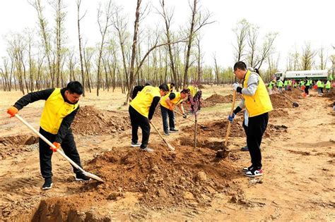 不负春光添新绿！赛罕区组织开展全民义务植树活动腾讯新闻