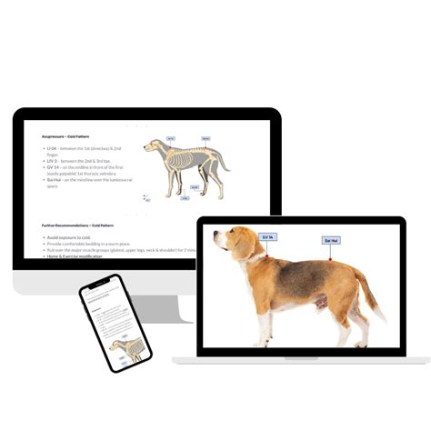 Acupuncture and Acupressure Charts for Dogs and Horse 