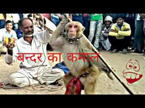 Haryanvi Bandar Bandriya Ka Khel Funny Video Comedy Video From My Phone