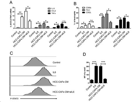 Il6 Stat3 Signaling Is Crucial For The Activation Of Neutrophil A