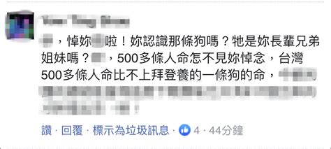 蔡英文悼念拜登死去的狗，评论翻车手机新浪网