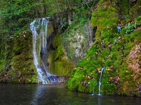 Free Images Tree Waterfall Creek Wilderness Trail Leaf Stream