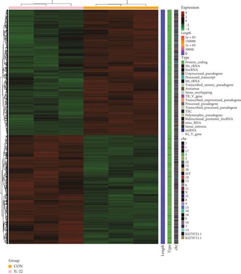 Differential Expression And Functional Enrichment Analysis A And B