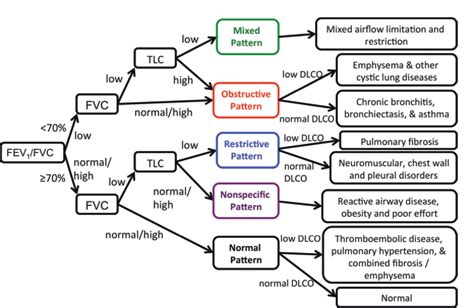 Figure 5 from Pulmonary Function Tests for the Radiologist. | Semantic ...