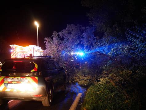 Isère La D1516 Fermée à La Circulation Après La Chute Dun Arbre