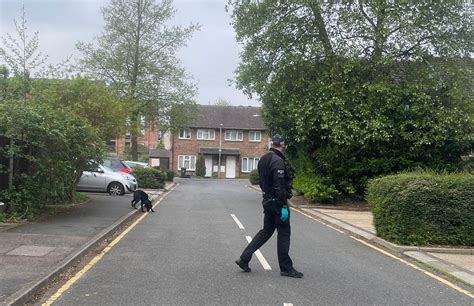 Babak Belurs Hainault Sword Attack Live Boy Killed In Attack Named As