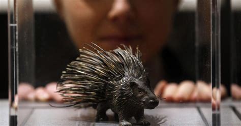 Sex At Centre Of New Exhibition