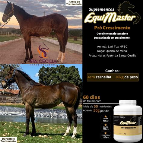 Suplemento Para Cavalo Potro Equimaster Crescimento 5 Kg