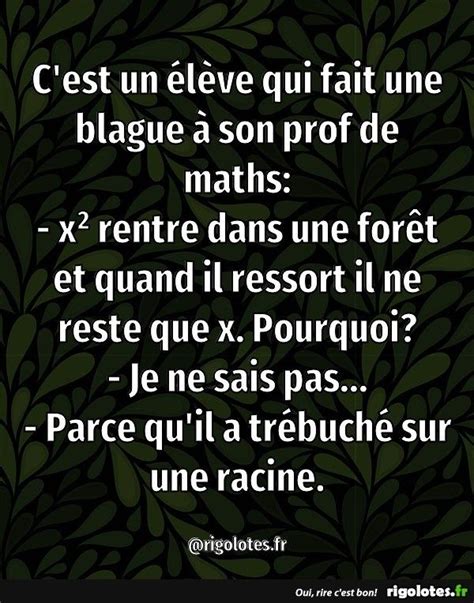 Épinglé par Bll sur Math en 2022 Blague pour rire Rire Prof de maths