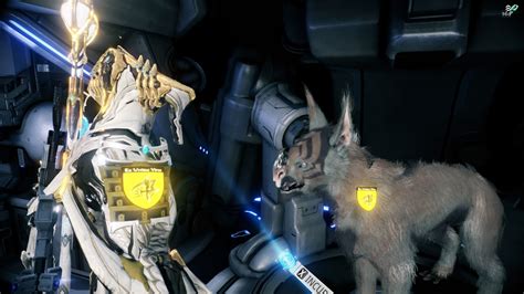 Kubrow Patterns - General - Warframe Forums