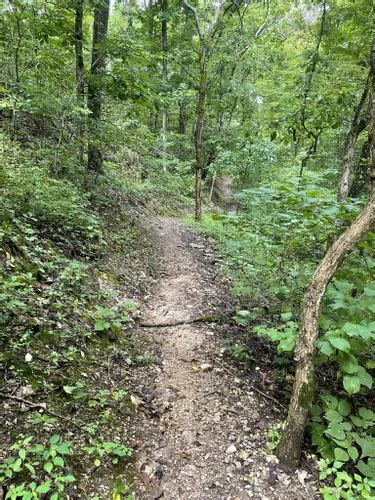 10 Best Trails And Hikes In Bella Vista Alltrails