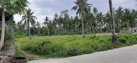 Agricultural Lot For Sale Hilongos Leyte 55834 Properties November