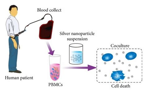 In Vitro Assessment Of Antibacterial Activity And Cytotoxicity Of Hot