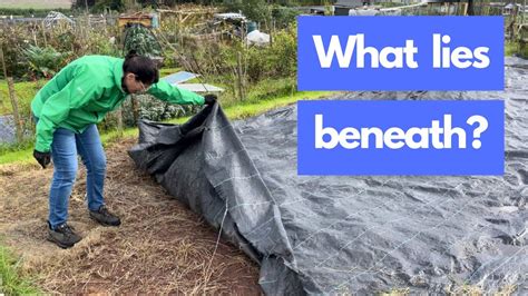 Preparing A No Dig Bed On My First Allotment Youtube