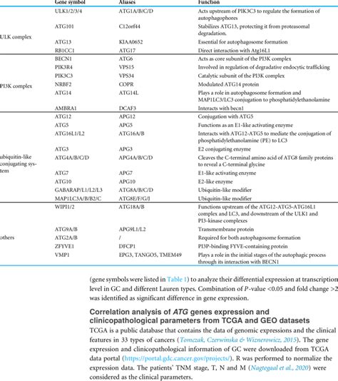 Description Of Autophagy Related Gene Download Scientific Diagram