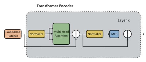 Diagram of Transformer Encoder. | Download Scientific Diagram