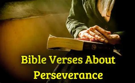 [best] 23 Bible Verses About Perseverance Through Hard Times Kjv