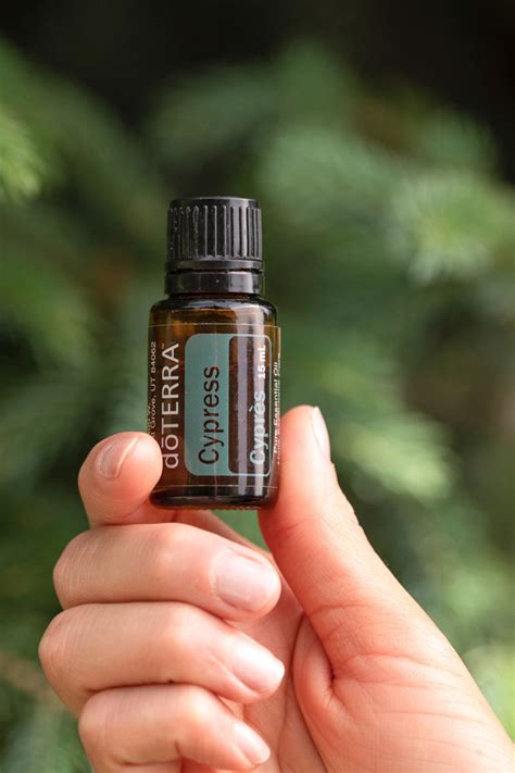 Ranking Top Doterra Cypress Ml Essential Oils Tramliege Be