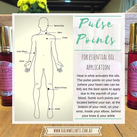 Essential Oils Pulse Points In 2024 Essential Oil Education Doterra