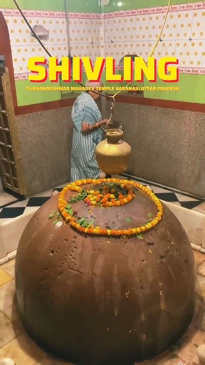 Shivling Tilbhandeshwar Mahadev Temple Varanasi Uttar Pradesh Youtube