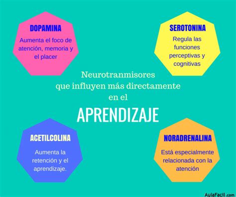 🥇 【 Los Neurotransmisores Que Participan En El Proceso De Aprendizaje Aprendizaje Eficaz