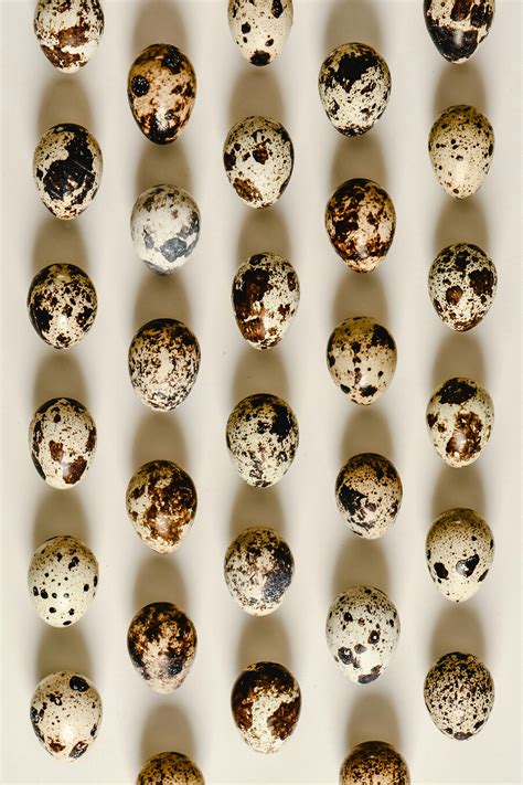 Proteins Photos, Download The BEST Free Proteins Stock Photos & HD Images