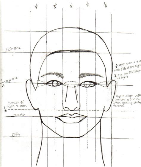 Face Proportions by ashley2081 on DeviantArt