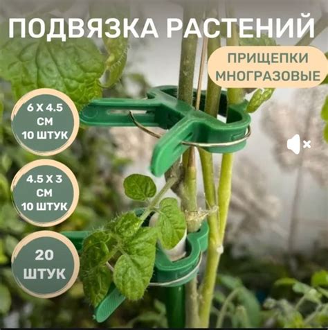 Клипсы Greenart для подвязки растений, 20 шт. - купить по выгодной цене ...