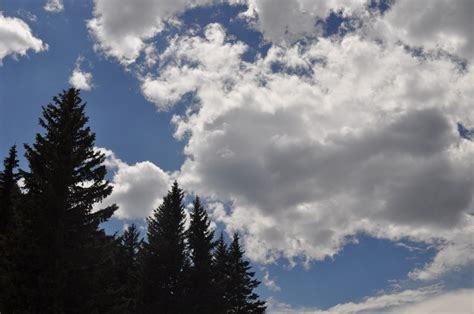 Free Images Landscape Tree Nature Mountain Cloud Sky Sunlight