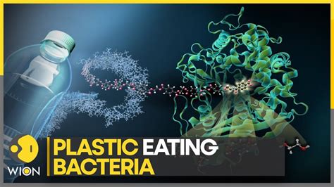 Bacteria Use Plastic Waste As A Food Source WION Climate Tracker