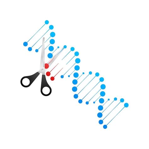 Herramienta De Edición De Genes Crispr Ingeniería Genética Ilustración De Stock Vectorial