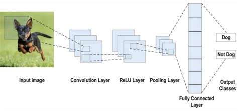 4: Convolutional based architectures consist on Convolutional layer ...