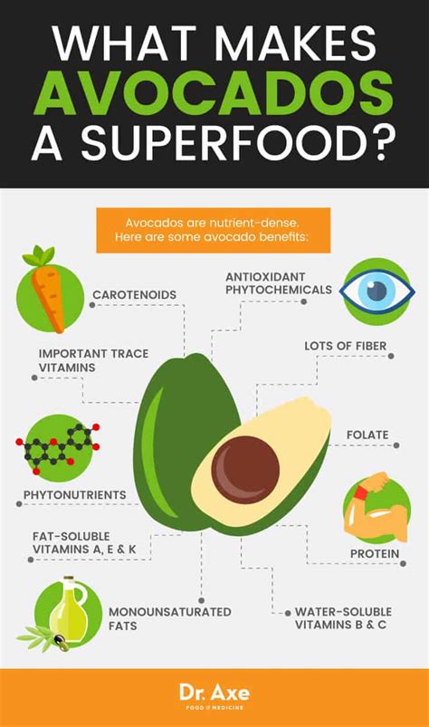 Florida Avocado Nutrition