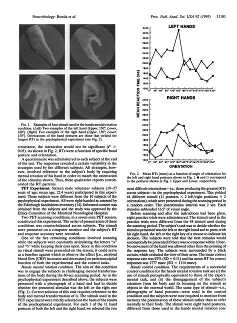 Eva Bonda Et Al Neural Correlates Of Mental Transformations Of