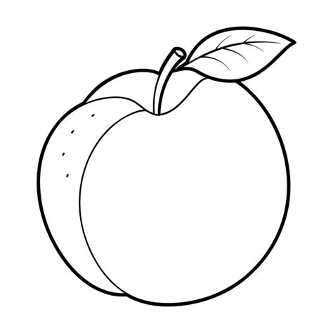 Nectarine Coloring Pages For Kids 41458896 Vector Art At Vecteezy