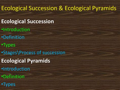 Solution Ecological Succession Ecological Pyramids Studypool