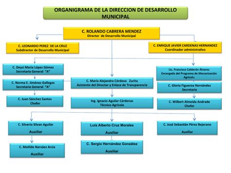 Organigrama De La Direccion De Desarrollo Municipal