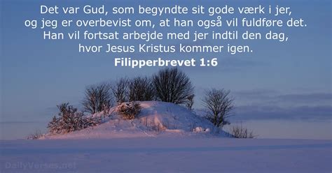 Filipperbrevet Bibelvers Dailyverses Net