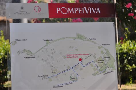 Map of the Pompeii Ruins Pompeii Ruins, Favorite Places, Spaces, Italy, Map, Book Cover, Travel ...