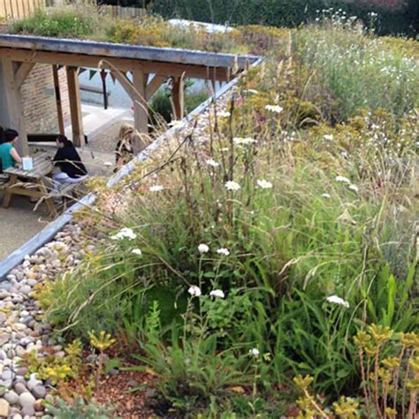 Fordhall Organic Farm Bio Diverse Green Roof Sedum Supply Ltd