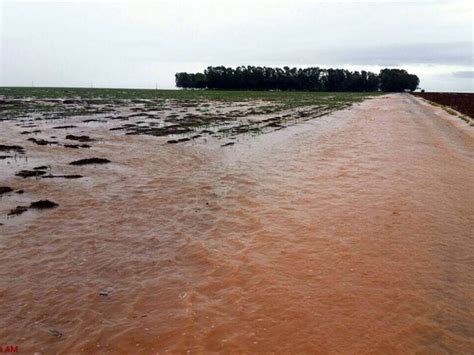 G1 Chuva Forte Alaga Plantações Em Campo Novo Do Parecis Mt