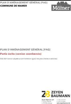 PLAN D AMÉNAGEMENT GÉNÉRAL PAG COMMUNE DE MAMER PLAN D AMÉNAGEMENT