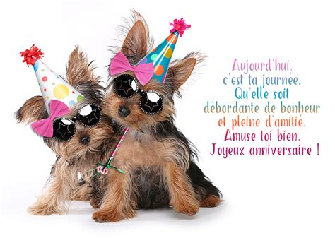 Jolie Carte Anniversaire Animaux Elevagequalitetouraine