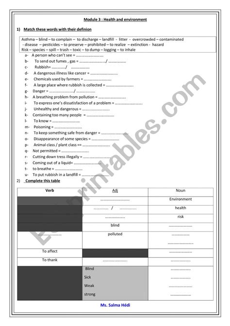 Module 3 Summary 9th Forms ESL Worksheet By Salma 9