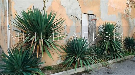 вещи, без которых легко обхожусь! - YouTube