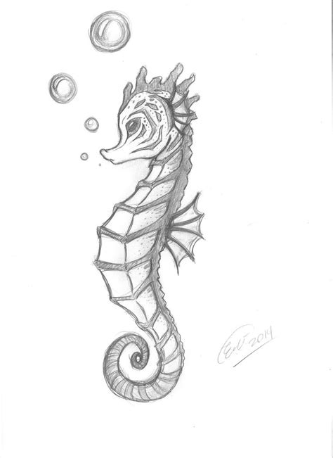 Seahorse Acrylic Painting At Explore Collection Of